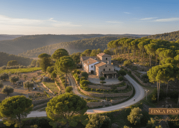 o que é um finca pino