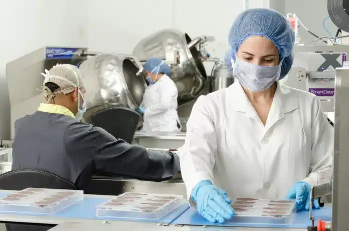 trabalhadores em fábrica de chocolates