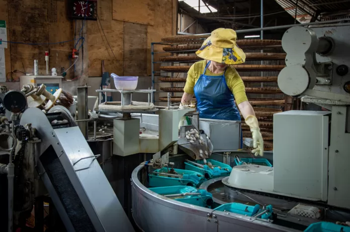 Mulher trabalhando em máquina