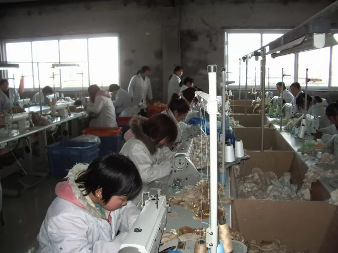 trabalhadoras em fábrica