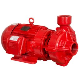 Motobomba Centrífuga Monoestágio 3CV Monofásica 110/220V SSCI-5 SOMAR-16002878