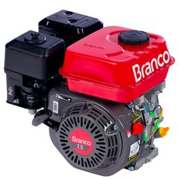 Motor a Gasolina 4T 224CC 7,5CV com Partida Manual e Alerta de Óleo BRANCO-90317075