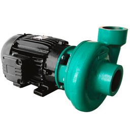 Motobomba Centrífuga Standard 12,5CV 60Hz 220/380V ELETROPLAS-220792