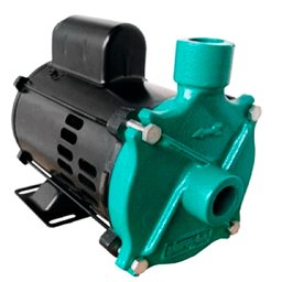 Motobomba Centrífuga Standard Monoestágio 1,0CV 60Hz Bivolt ELETROPLAS-209517