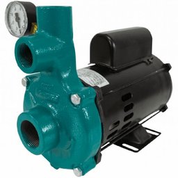Motobomba Centrífuga Injetora 1/2CV 60Hz 110/220V Bivolt ELETROPLAS-41409
