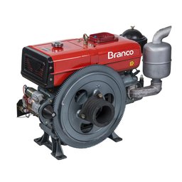 Motor a Diesel Refrigerado a Água 18CV 903CC com Partida Elétrica BRANCO-90315430