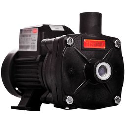 Motobomba Centrífuga Monoestágio B-12 P 1/2CV 6.7 m3/h Monofásico IP55 127/220-254V THEBE EBARA-12501964024