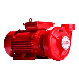 Bomba Centrífuga Monoestágio THSI-18 Combate Incêndio 7,5CV Motor 220V Monofásico THEBE EBARA-125.00.1481145