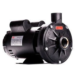 Bomba Centrífuga Monoestágio TH-16 3 CV Motor 127/220-254V Monofásico THEBE EBARA-125.01.051078