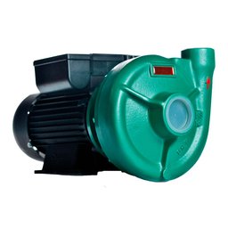 Bomba Centrífuga Monoestágio THS-18 3CV Motor 127/220-254V Monofásico THEBE EBARA-125.01.1500743