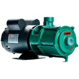 Motobomba Centrífuga P-11 IP23 3CV Bivolt 127/220V THEBE EBARA-125.01.768078