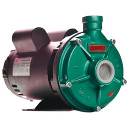 Motobomba Centrífuga Monoestágio TH-16 IP23 3CV Monofásico Bivolt 127/220V THEBE EBARA-125.01.525078