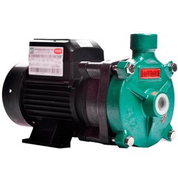 Motobomba Centrífuga Monoestágio B-12 IP55 1/3 CV Monofásico Bivolt 127/220V THEBE EBARA-125.01.973014