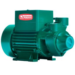 Motobomba Centrífuga Solar Monoestágio TP CI 540W 72V THEBE EBARA-10-001-4609