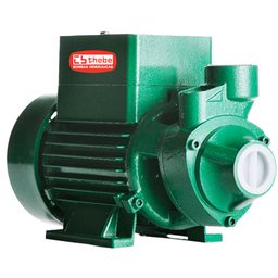 Motobomba Centrífuga Solar Monoestágio TP CI 272W 44V THEBE EBARA-10-001-4608