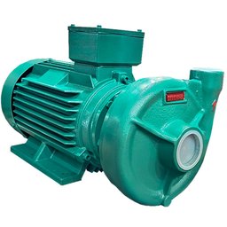 Motobomba Centrífuga Monoestágio THS-18 IP55 7,5 CV Trifásico 4V THEBE EBARA-124.00.150117