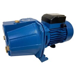 Motobomba Autoaspirante 1CV 127/220V 60HZ Bivolt EAP-100B ELETROPLAS-000443960
