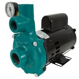 Motobomba Centrífuga Injetora 3,0CV 60Hz 110/220V Bivolt ELETROPLAS-56038