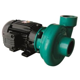 Motobomba Centrífuga Standard 7,5CV 60Hz 220V ECS-750 M/T ELETROPLAS-220768