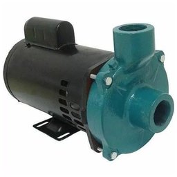 Motobomba Standard Monofásico 3CV 60HZ Bivolt ELETROPLAS-00004060