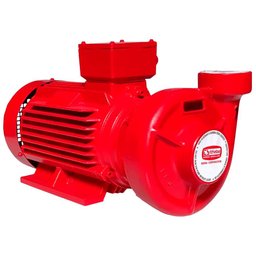 Bomba de Incêndio Centrífuga Monoestágio THSI-18 10,0CV Rotor 179mm Trifásica 4V THEBE EBARA-124.00.148127