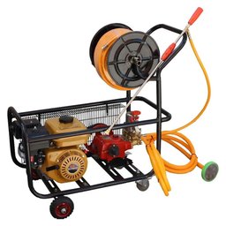Pulverizador a Gasolina BF45 6.5CV com Partida Manual BUFFALO-60658