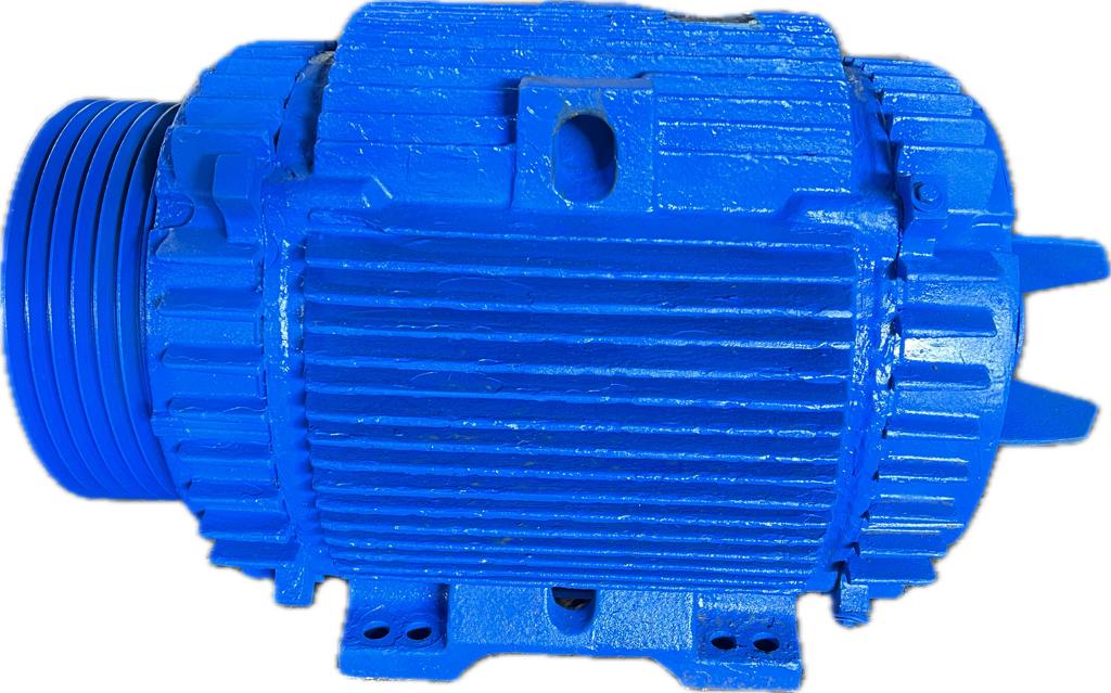 Motor elétrico 100 cv 1100 rpm 6 polos General Elétric Weg C2442