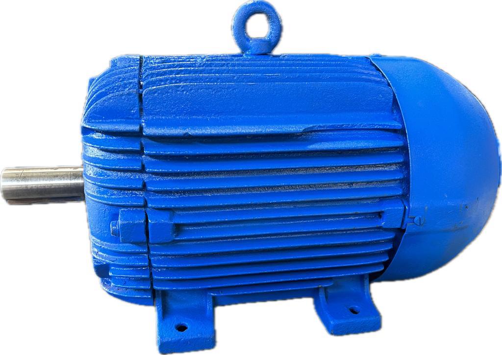 Motor elétrico 10 cv 10 hp Trif weg Eberle Kohlback 1100 rpm 6 polos c2069