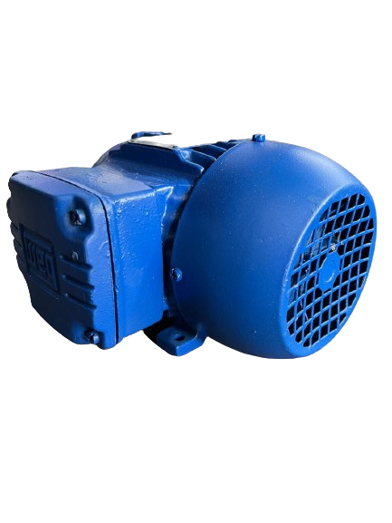 Motor elétrico 1/6 cv  0,16 hp Trif weg 1700rpm