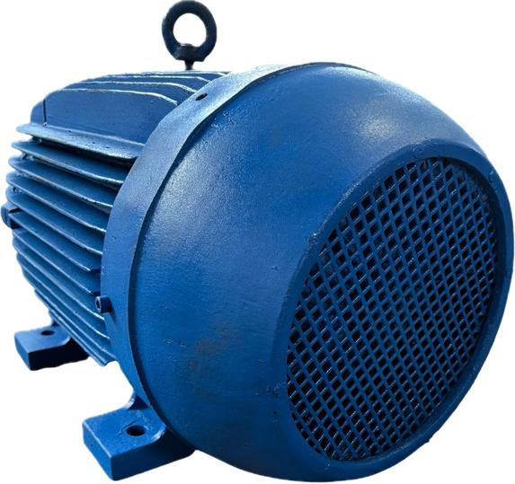 Motor elétrico 20 cvTrif weg Eberle 800 rpm C2095