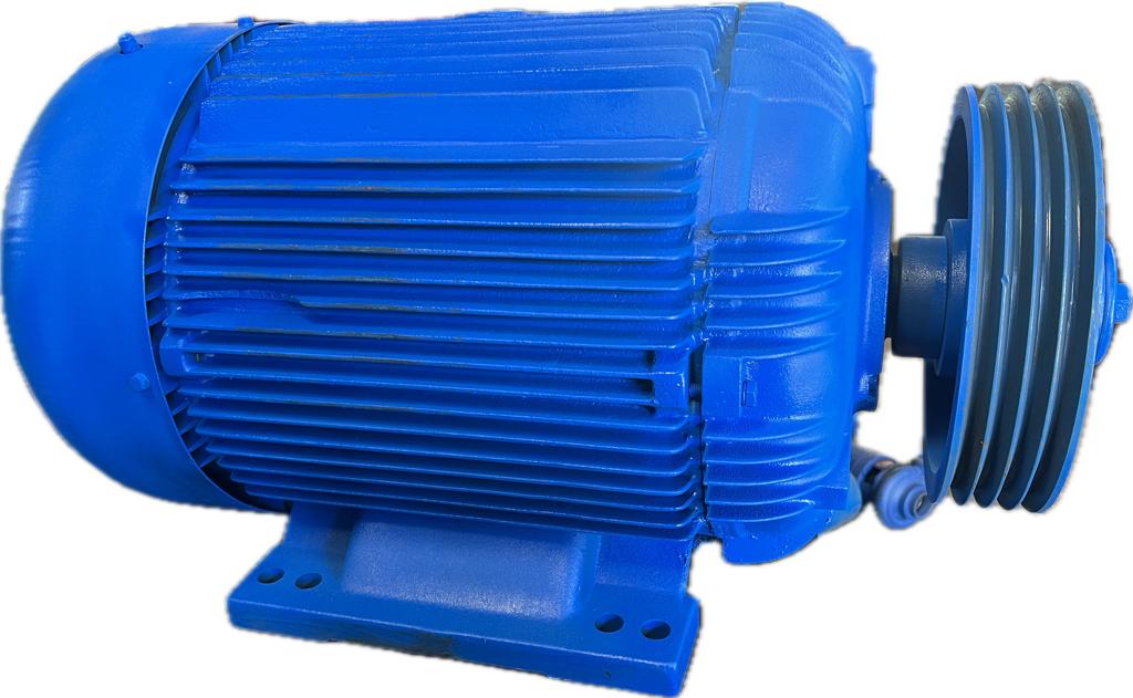 Motor elétrico 60 cv 60 hp Trif weg Eberle 1100 rpm 6 polos C2077