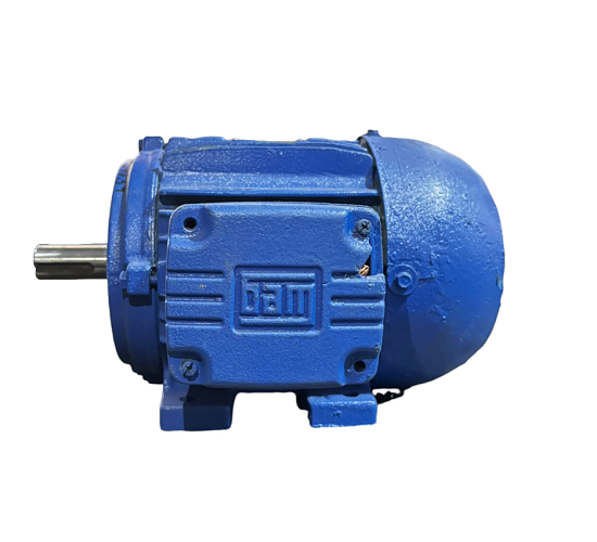 Motor elétrico 2 cv  2 hp Trif weg  1700 rpm