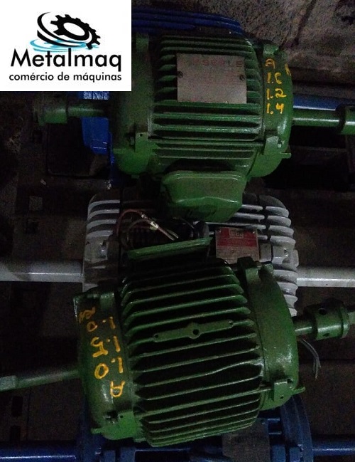 Politriz elétrica 1/5 cv Trif weg 800 RPM - C6543