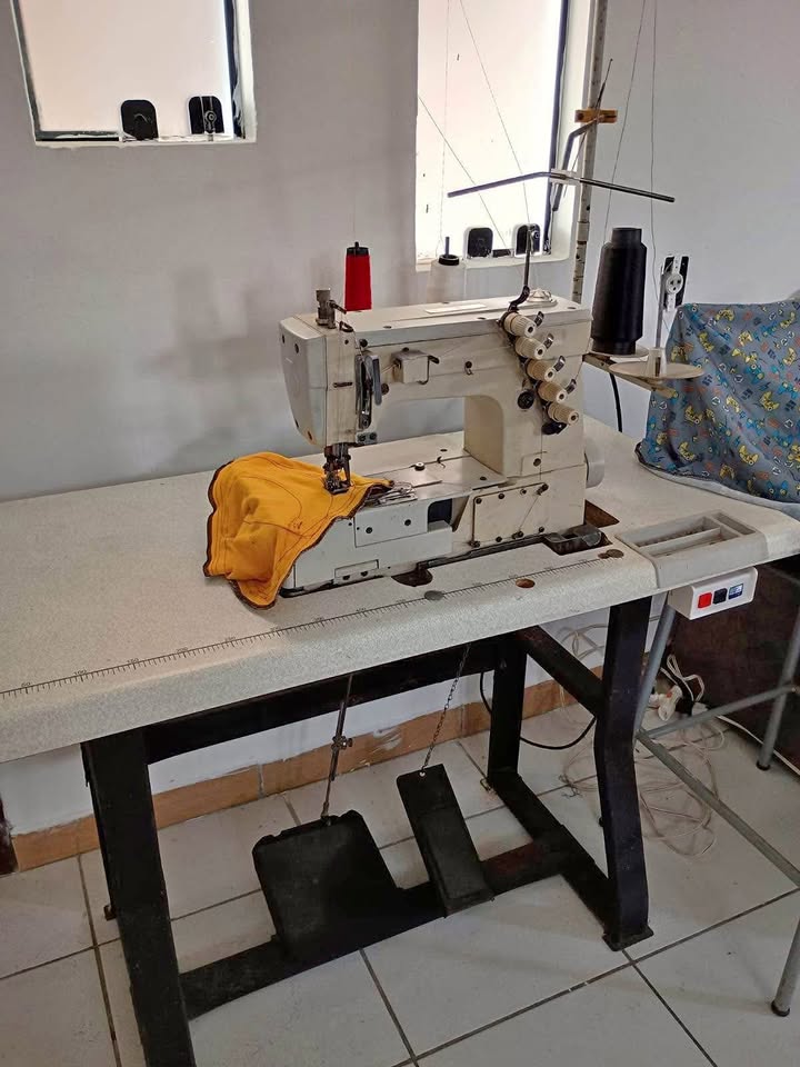 Máquina de costura Galoneira