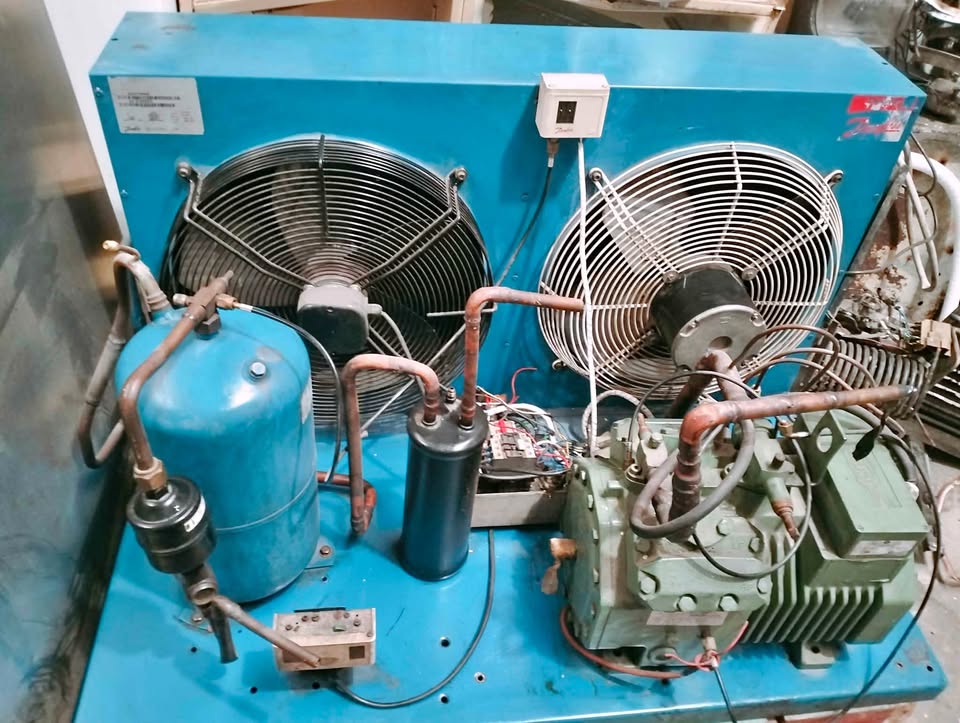 Motor pra camara fria bitzer trifásico